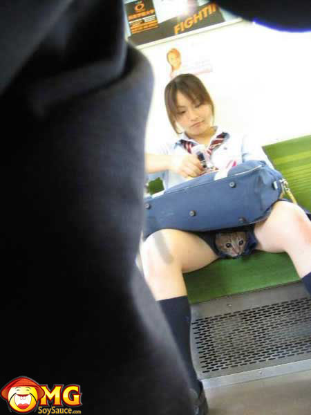 [Image: funny-subway-train-pictures-pics-pussyca...-asian.jpg]